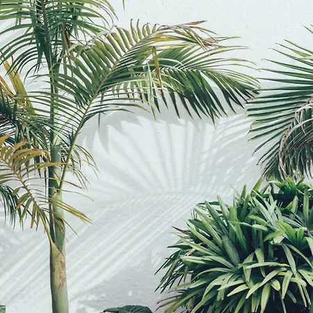 Cala Lanuza Aparthotel El Campello